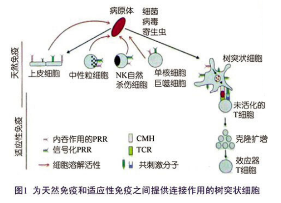 图一.png